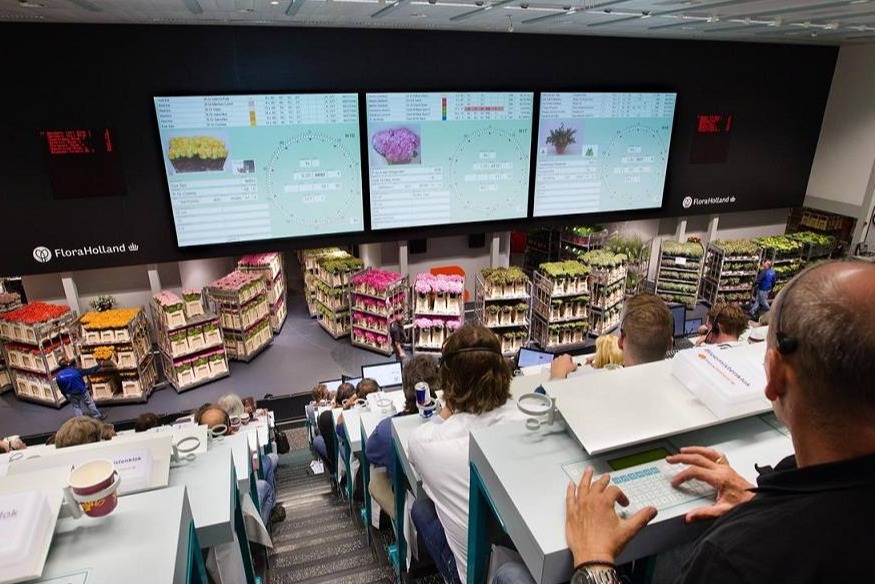 double image fisrt part