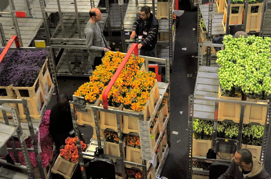 double image second part